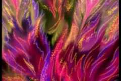 IMG_20210205_194356_574