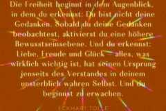 IMG_20210215_205627_085